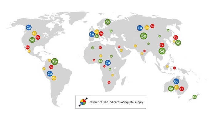 Global supply of the essential trace elements selenium, iron, copper, and zinc indicated by the prevalence of deficiency symptoms or the estimated regional trace element supply