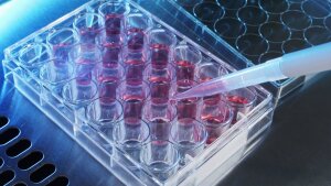 Microwell plate containing pink fluid