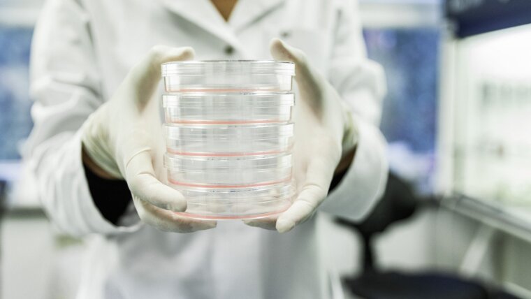 Researcher carries a stack of Petri dishes